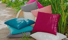 Cushion, Rug